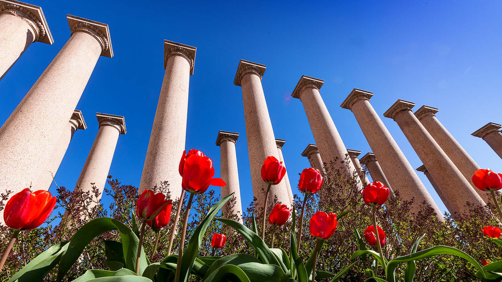 campus columns