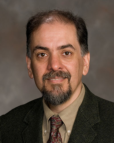 Mehrdad Negahban