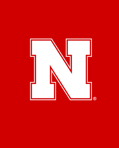 N logo