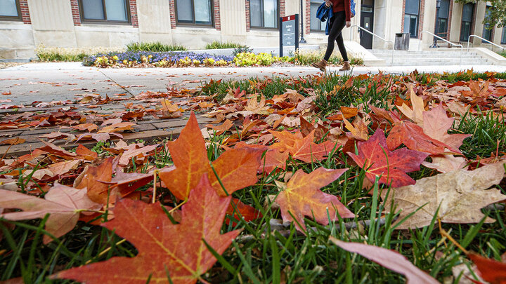 Fall leaves outside Andrews Hall. October 21, 2020. Photo by Craig Chandler / University Communication.