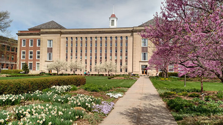 Love Library in the Spring