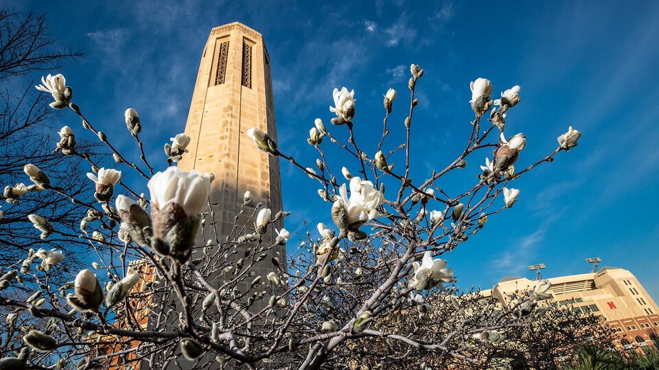 campus tower in the spring