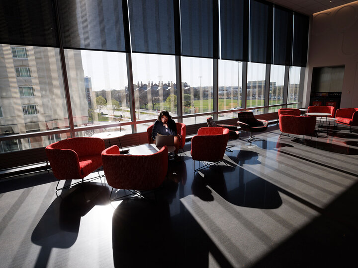 study area