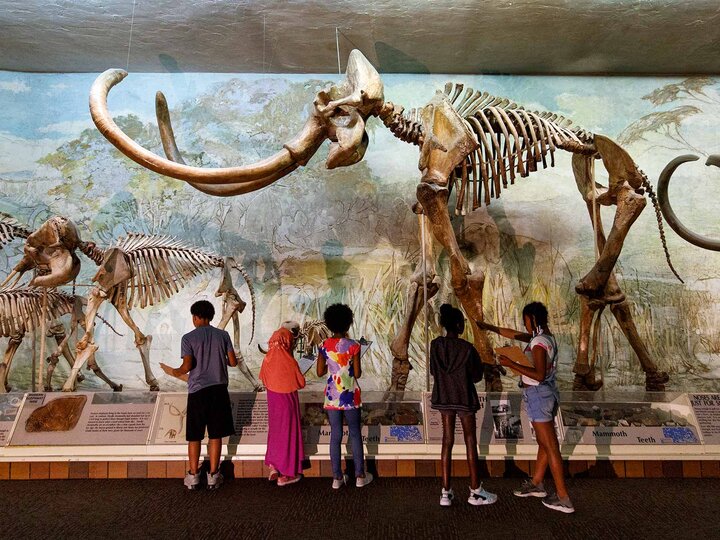 University of Nebraska State Museum in Morrill Hall
