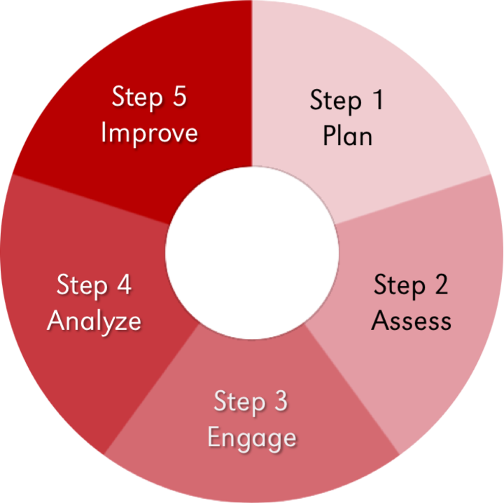 Closing the accreditation loop: Step 1 Plan, Step 2 Assess, Step 3 Engage, Step 4 Analyze, Step 5 Improve